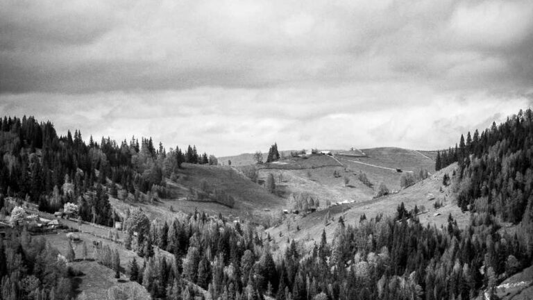 How To Complete Cricbet99 Win Login And Registration?